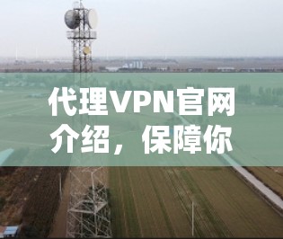 代理VPN官网介绍,保障你的网络安全