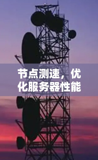 节点测速,优化服务器性能的关键因素