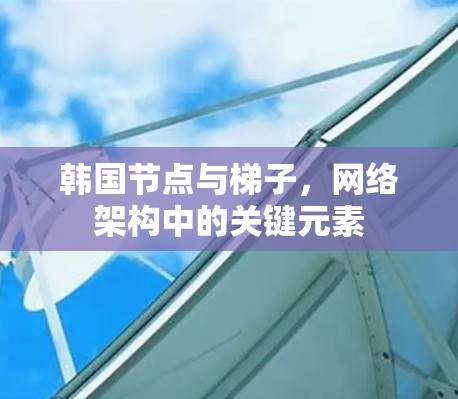 韩国节点与梯子，网络架构中的关键元素
