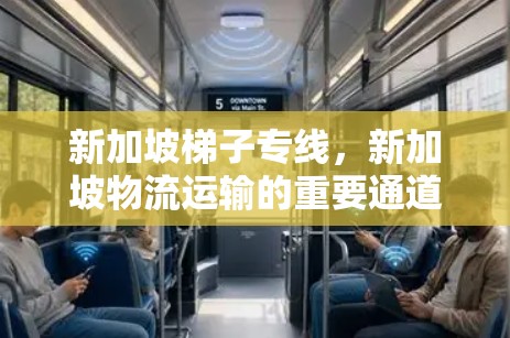 新加坡梯子专线，新加坡物流运输的重要通道