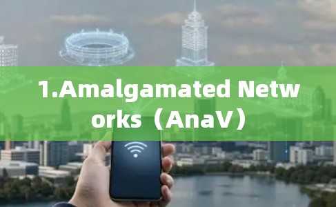 1.Amalgamated Networks(AnaV)