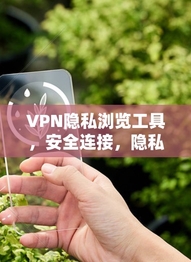 VPN隐私浏览工具,安全连接,隐私保护