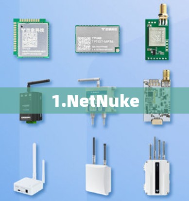 1.NetNuke