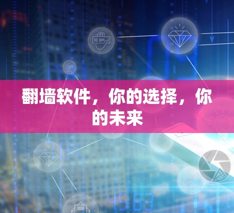 翻墙软件,你的选择,你的未来