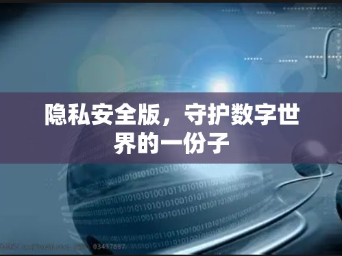 隐私安全版,守护数字世界的一份子