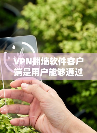 VPN翻墙软件客户端是用户能够通过手机或电脑连接到另一端设备进行网络访问的工具。以下是对这种软件的详细分析