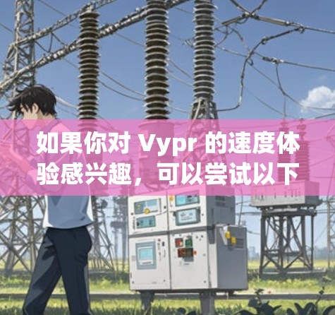 如果你对 Vypr 的速度体验感兴趣，可以尝试以下几点测试