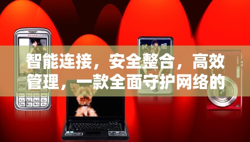 智能连接,安全整合,高效管理,一款全面守护网络的软件解决方案
