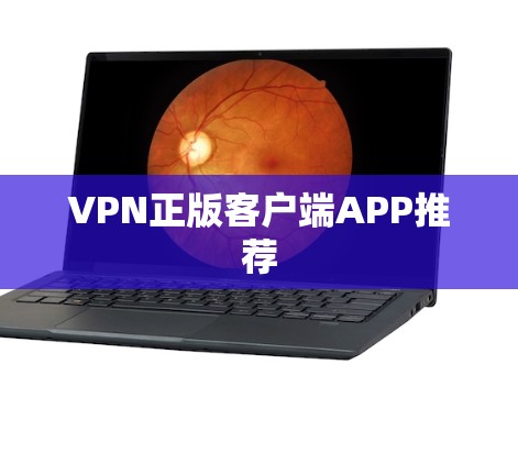 VPN正版客户端APP推荐