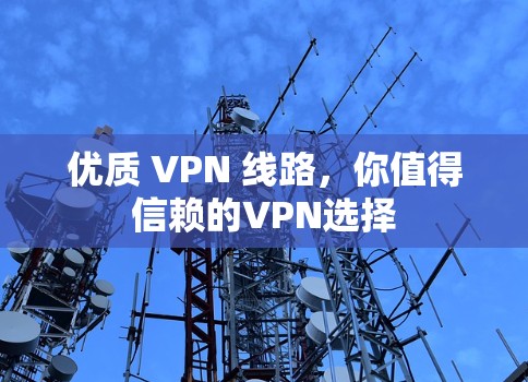 优质 VPN 线路,你值得信赖的VPN选择