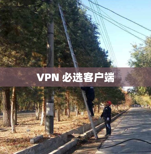 VPN 必选客户端