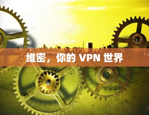 维密,你的 VPN 世界