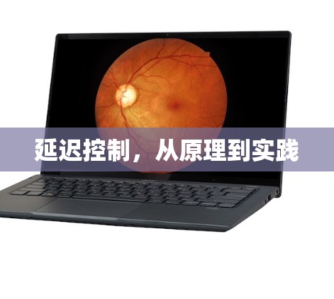 延迟控制,从原理到实践