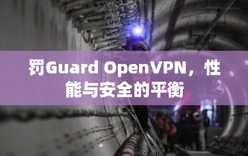 罚Guard OpenVPN,性能与安全的平衡