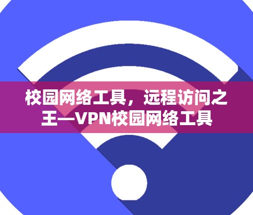 校园网络工具,远程访问之王—VPN校园网络工具