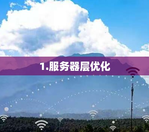 1.服务器层优化