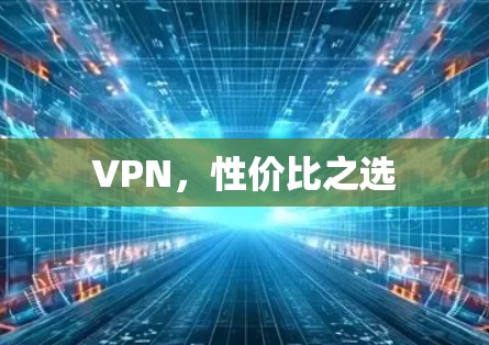 VPN,性价比之选