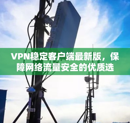 VPN稳定客户端最新版,保障网络流量安全的优质选择