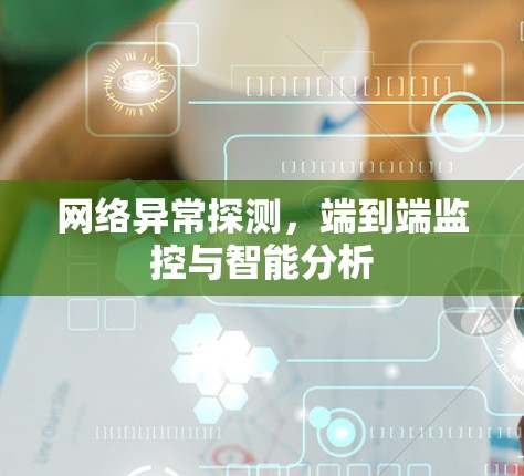 网络异常探测,端到端监控与智能分析