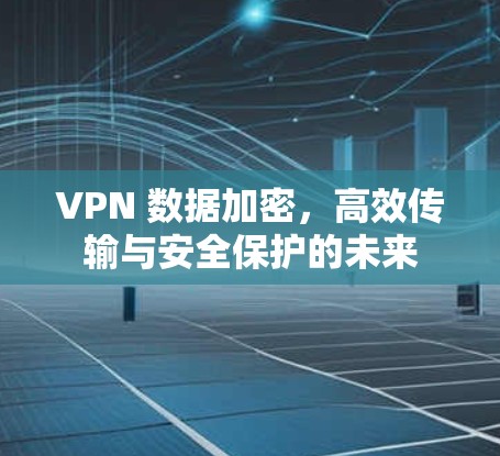 VPN 数据加密,高效传输与安全保护的未来