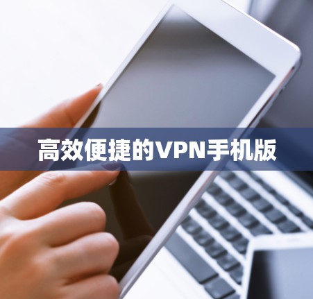 高效便捷的VPN手机版