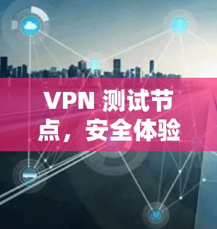 VPN 测试节点,安全体验与漏洞扫描分析
