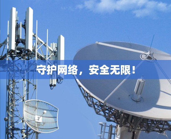 守护网络，安全无限！