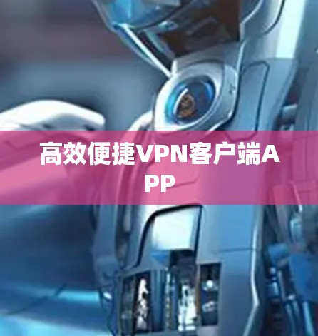 高效便捷<strong>VPN客户端</strong>APP