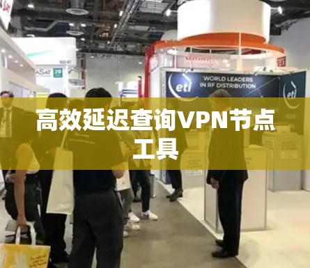 高效延迟查询VPN节点工具