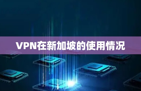 VPN在新加坡的使用情况