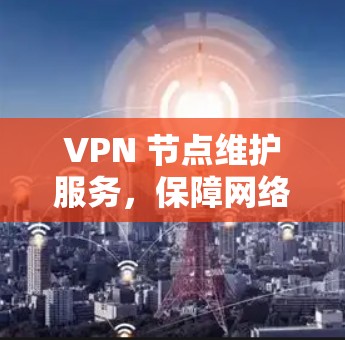 VPN 节点维护服务,保障网络安全,提升用户体验