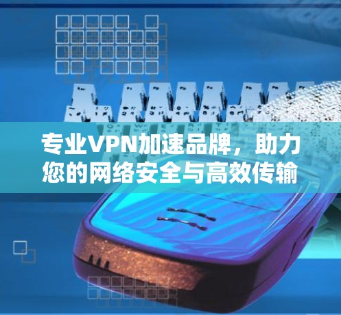 专业VPN加速品牌，助力您的网络安全与高效传输