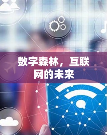 数字森林，互联网的未来