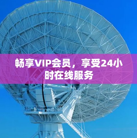 畅享VIP会员,享受24小时在线服务