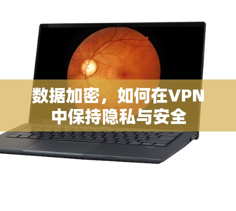 数据加密,如何在VPN中保持隐私与安全