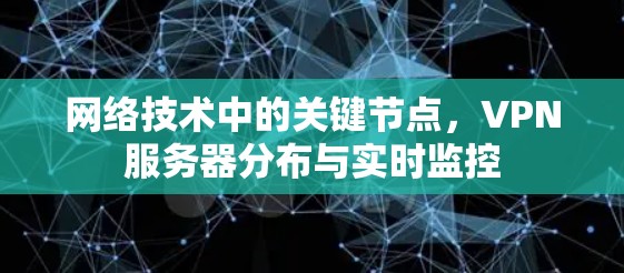 网络技术中的关键节点,VPN服务器分布与实时监控