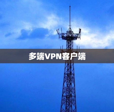 多端<strong>VPN客户端</strong>