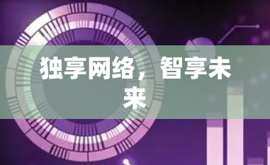 独享网络，智享未来