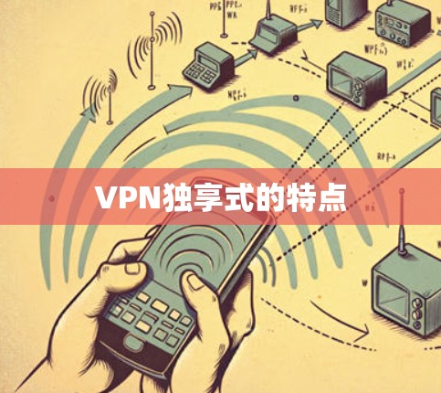 VPN独享式的特点
