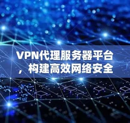 VPN代理服务器平台，构建高效网络安全防护体系