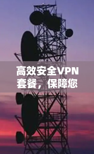 高效安全VPN套餐,保障您的网络保障