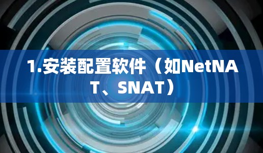 1.安装配置软件(如NetNAT、SNAT)