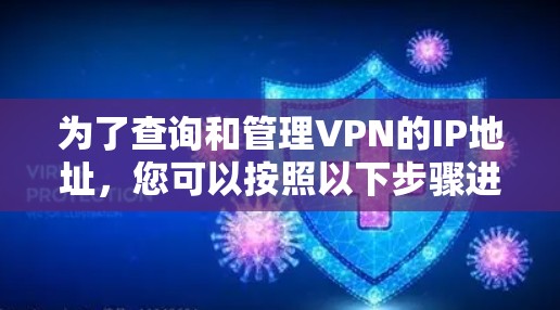 为了查询和管理VPN的IP地址,您可以按照以下步骤进行操作